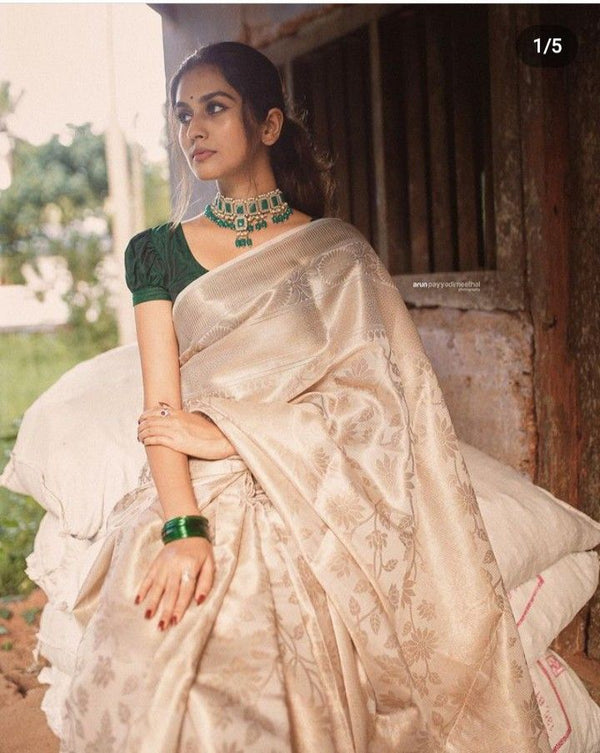 Heritage Banarasi in Royal Red